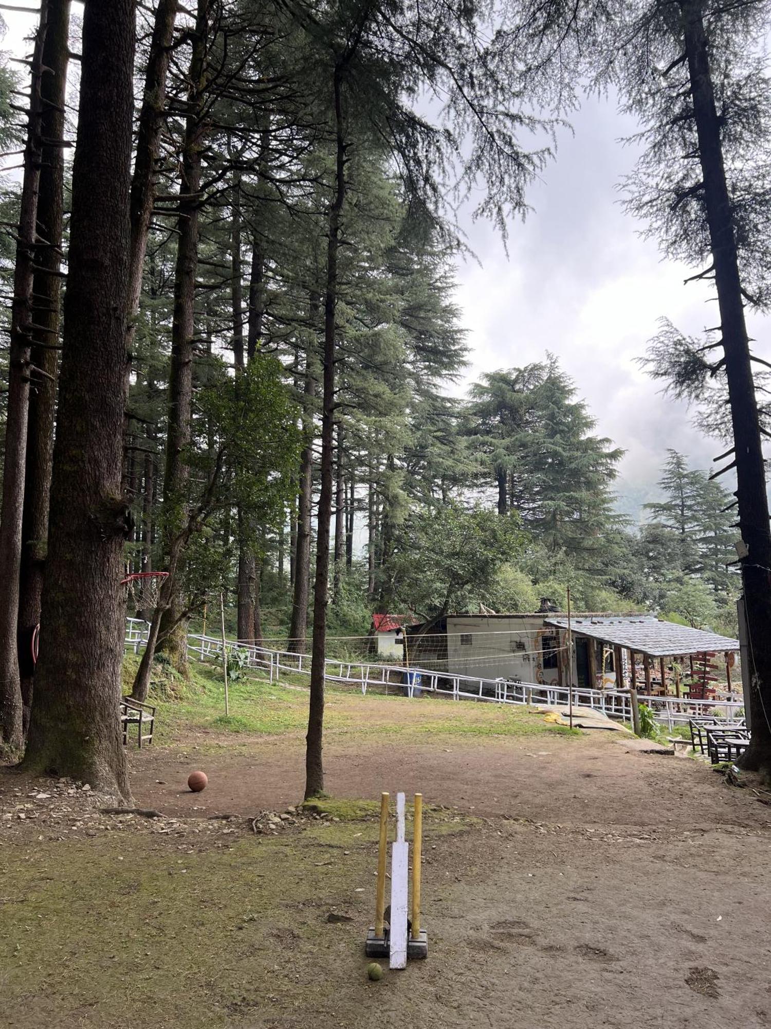 Himtrek Stays,Mcleodganj McLeod Ganj Exterior foto