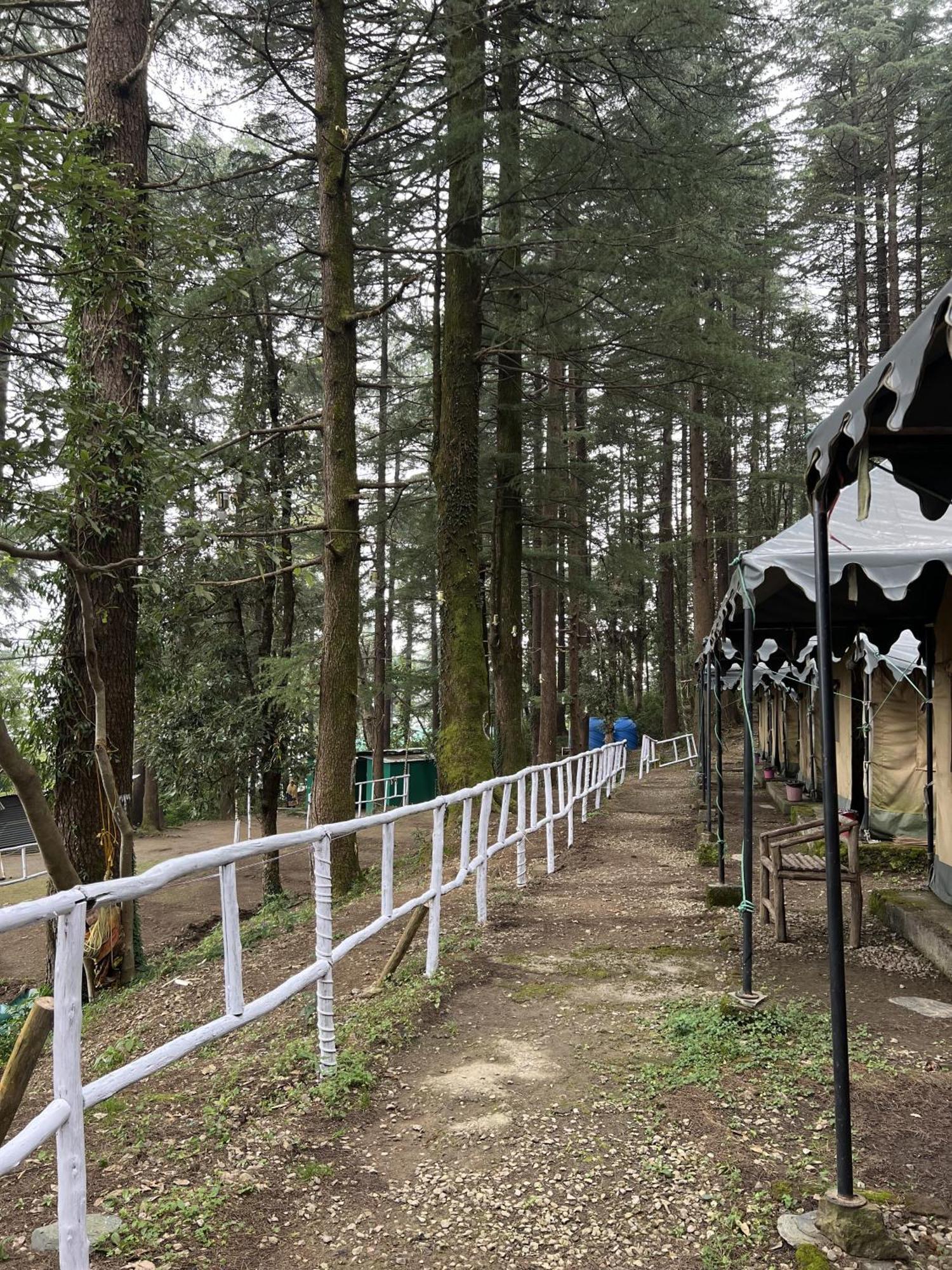 Himtrek Stays,Mcleodganj McLeod Ganj Exterior foto