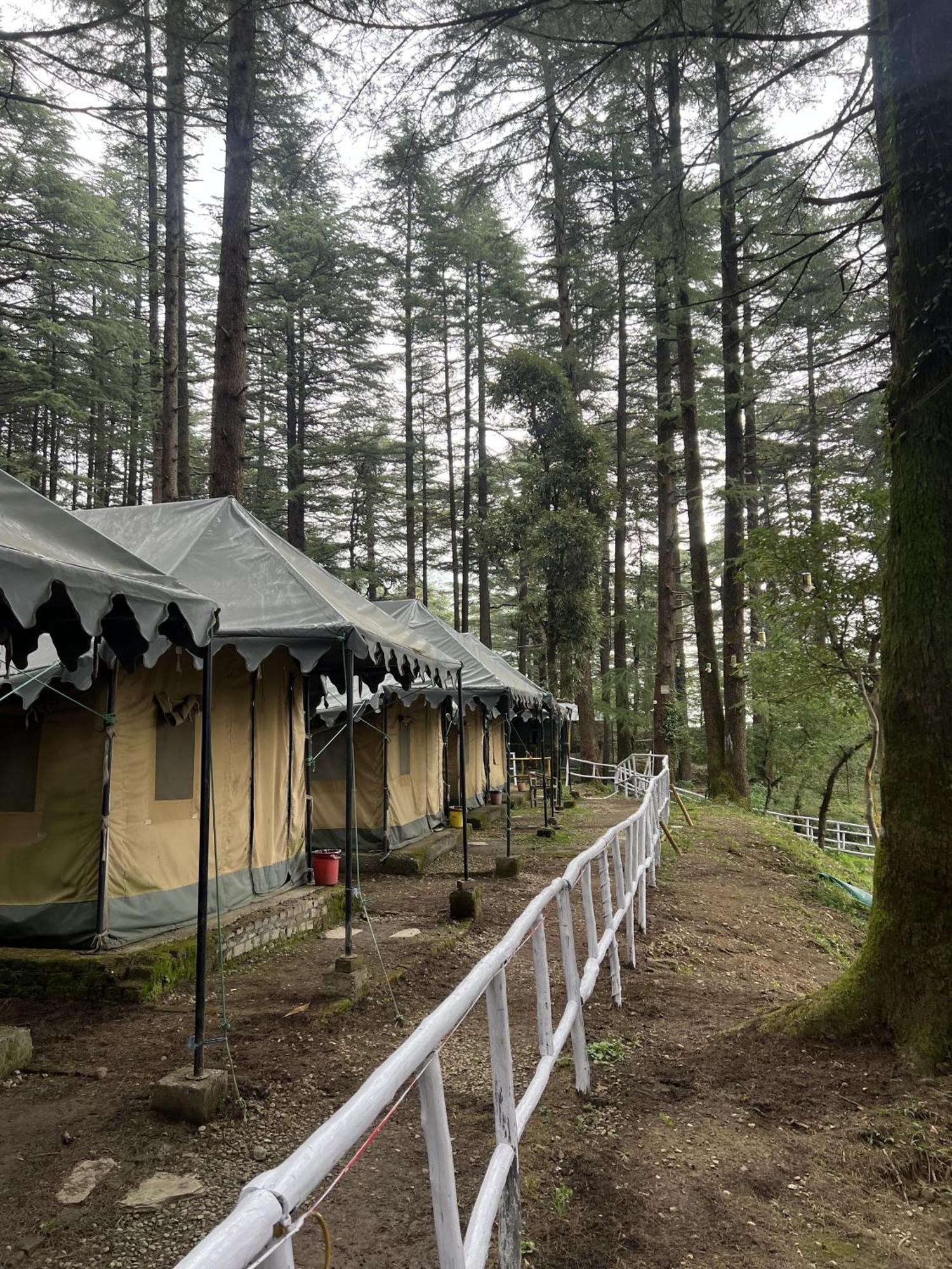 Himtrek Stays,Mcleodganj McLeod Ganj Exterior foto