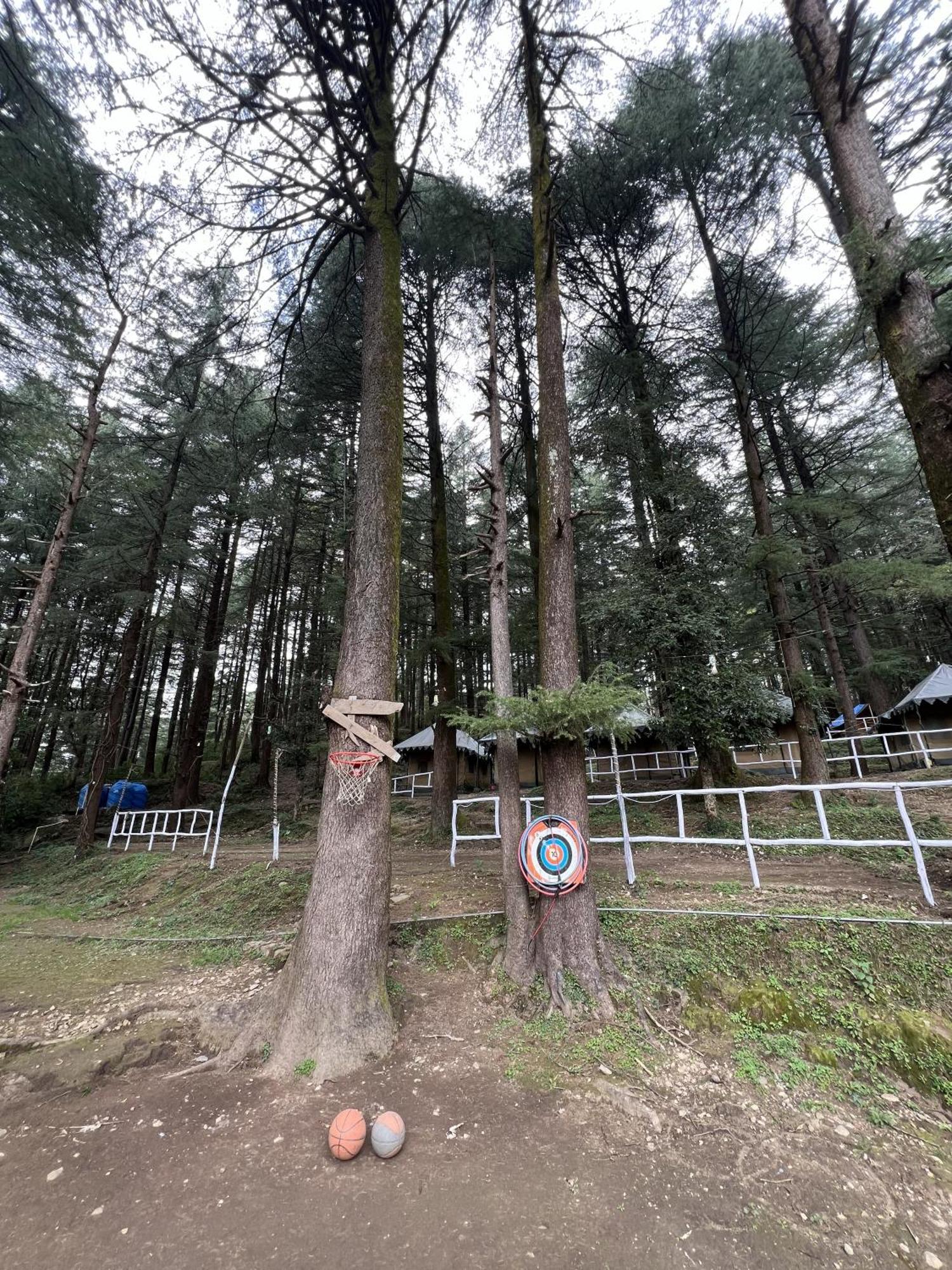 Himtrek Stays,Mcleodganj McLeod Ganj Exterior foto