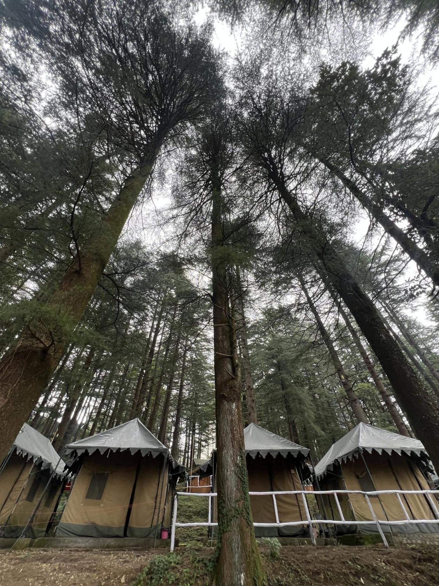 Himtrek Stays,Mcleodganj McLeod Ganj Exterior foto
