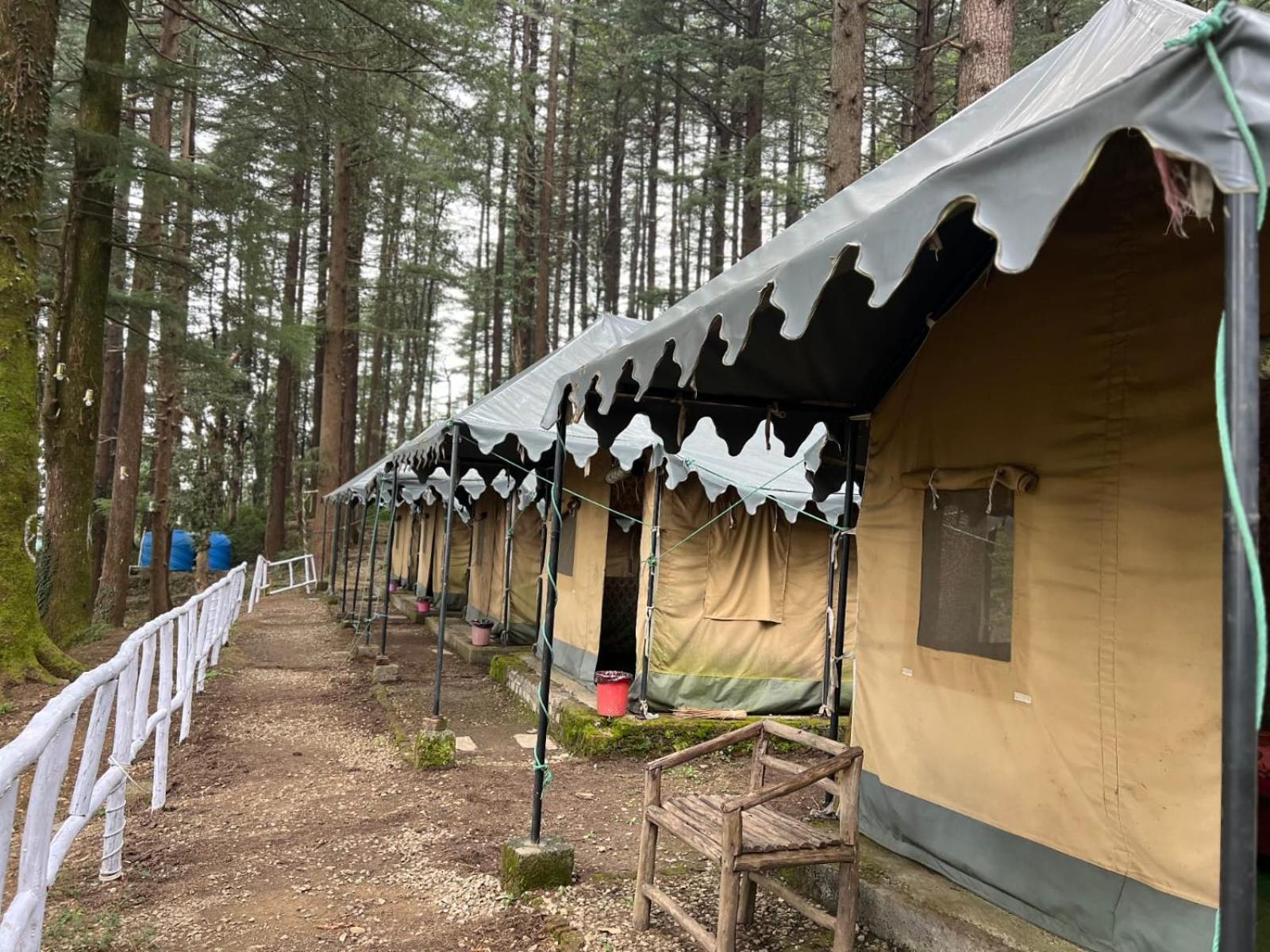 Himtrek Stays,Mcleodganj McLeod Ganj Exterior foto