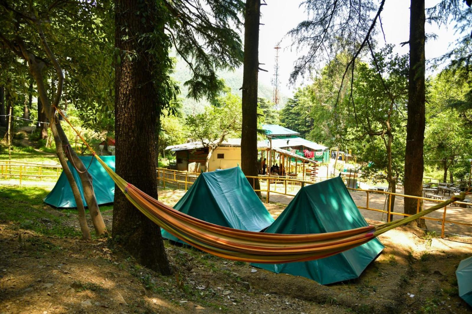 Himtrek Stays,Mcleodganj McLeod Ganj Exterior foto